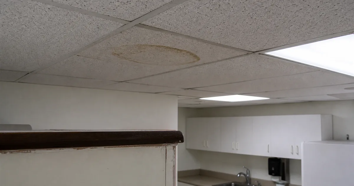 Commercial Mold Inspection in NYC: Offices, Retail, and Warehouses