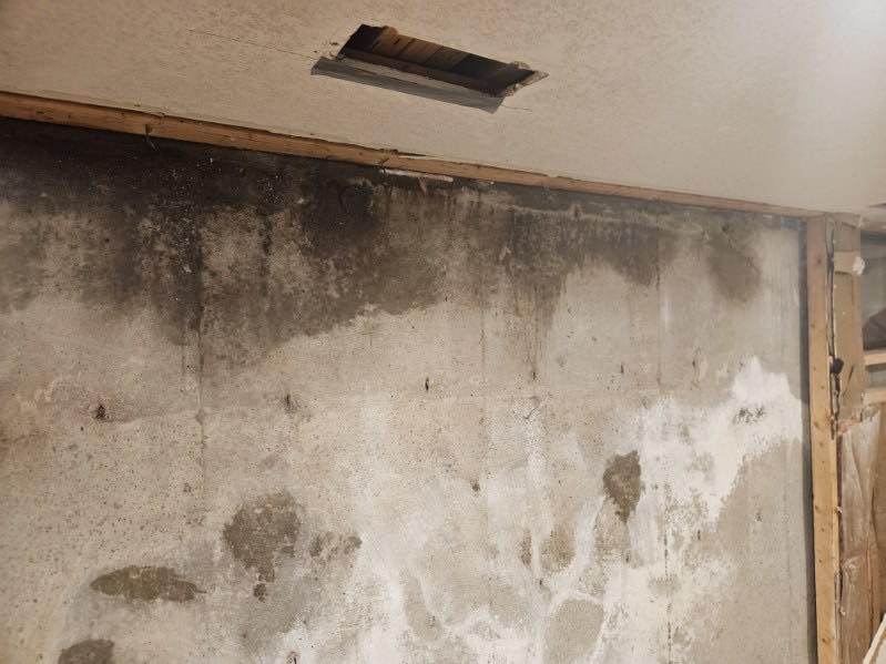 Emergency Mold Remediation in NYC: Who to Call, What to Expect and Same-Day Pricing