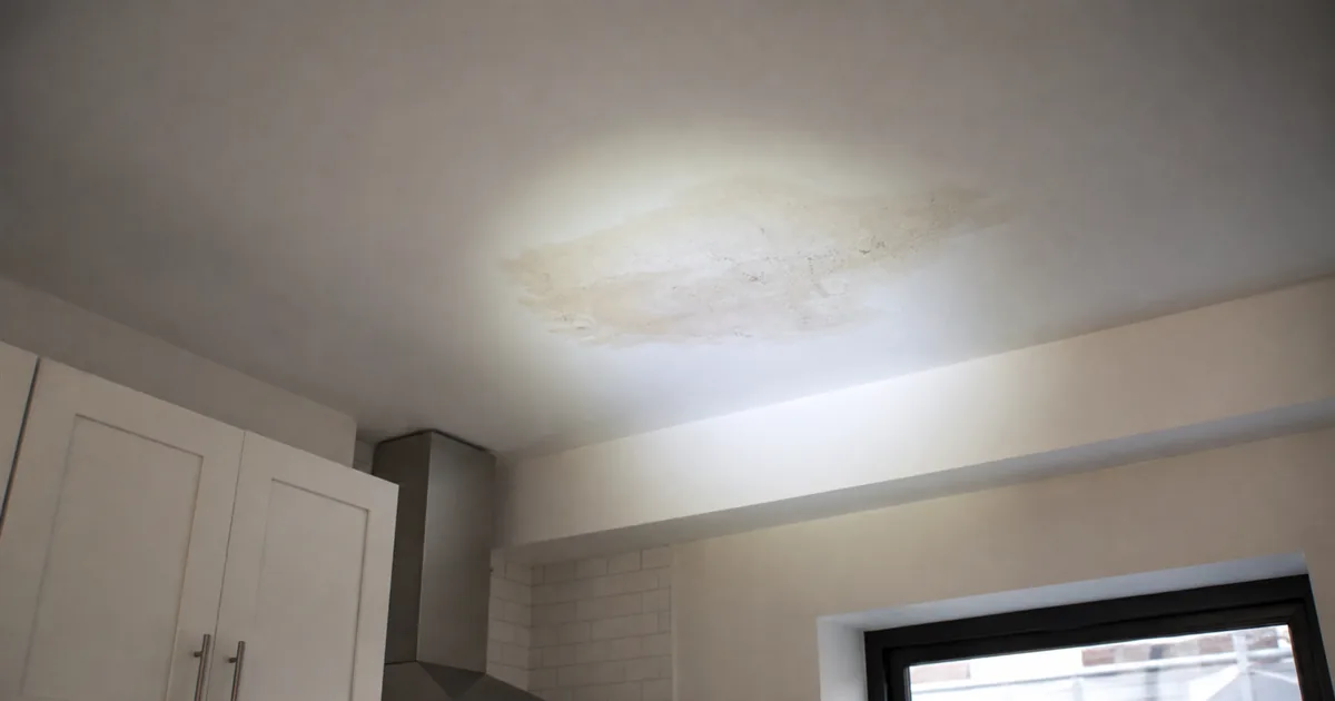Free Mold Inspection in NYC: What’s Free and What You Pay For