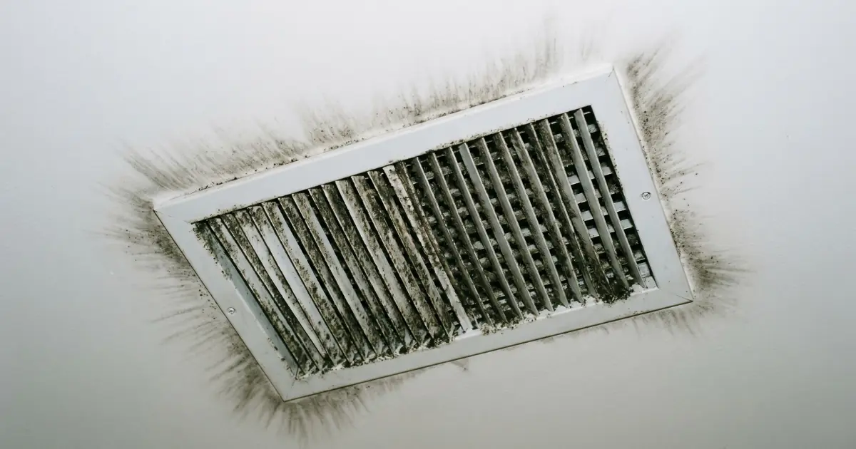 HVAC Mold Remediation in NYC: Cost & Process