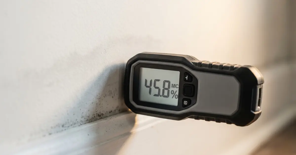 Mold Assessment Protocol NYC: The Article 32 Process