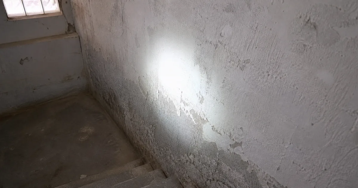 Mold Inspection in Queens, NY: Neighborhoods, Process, and Cost