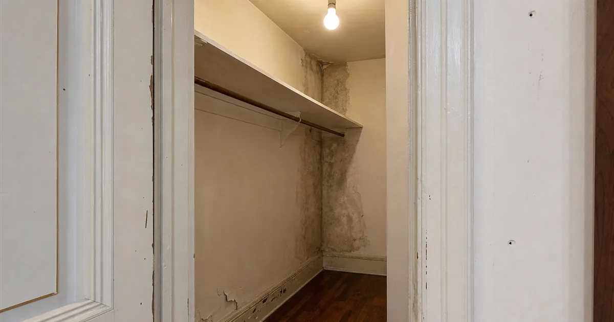 Mold Odor and Musty Smell Removal in NYC
