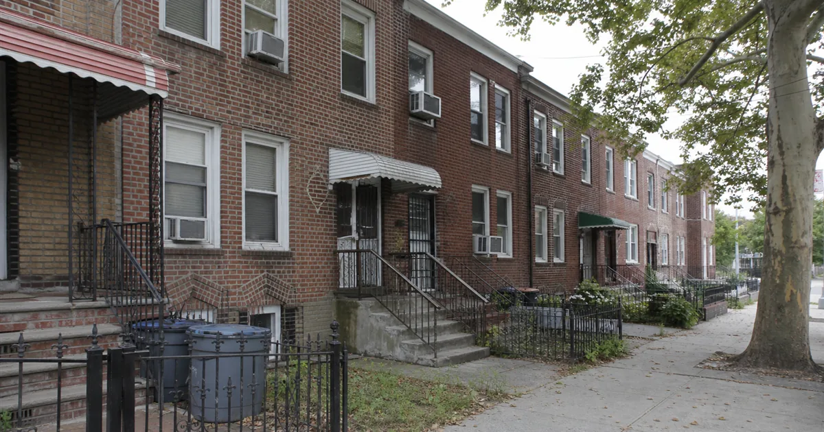 Mold Removal in Flushing and Forest Hills, Queens