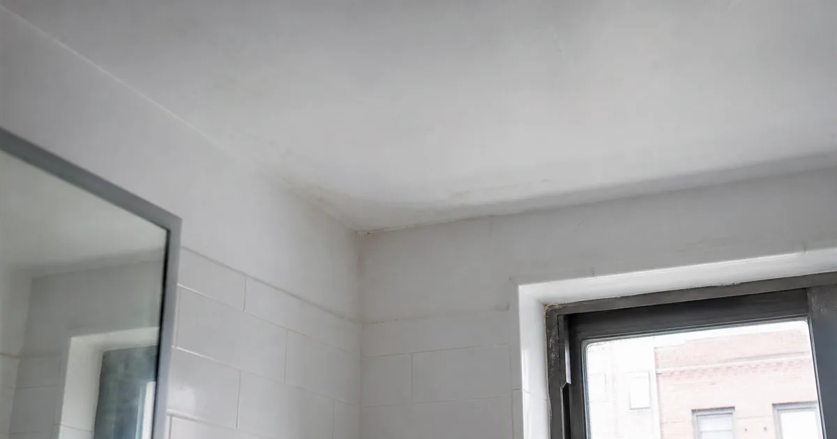 Residential Mold Inspection in NYC: A Homeowner’s Guide